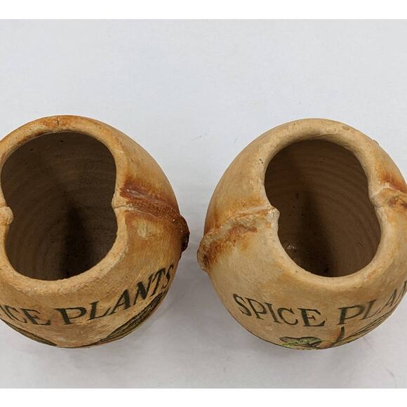Spice Plants Jars Pair Nutmeg Myristica Moschata Black Pepper Piper Philippines - Picture 11 of 11